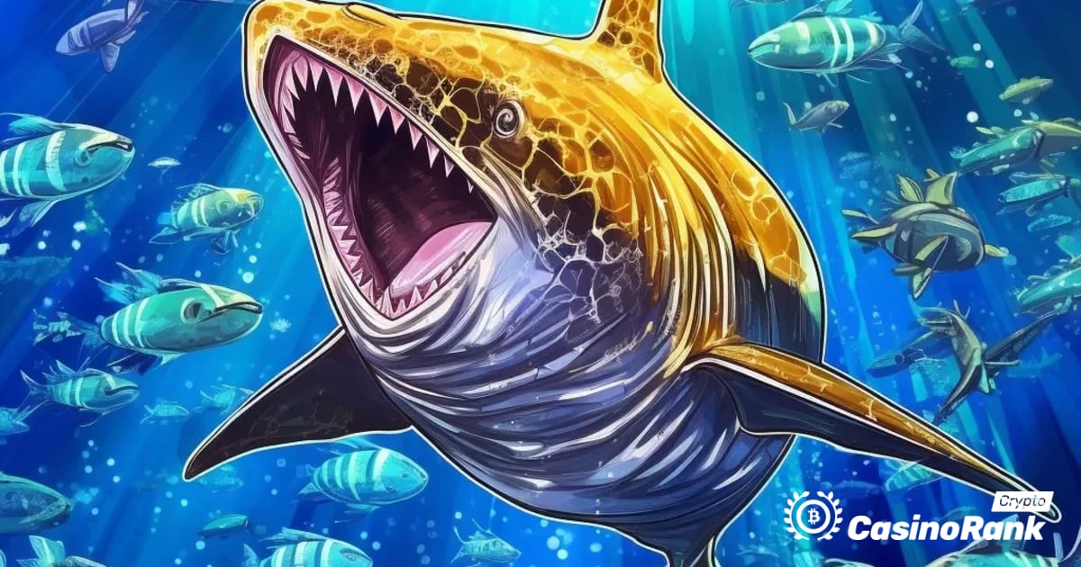 Ukendt 'Smart Whale' tjener millioner af handel med indpakket Bitcoin og opdager slumrende Ethereum ICO Wallet